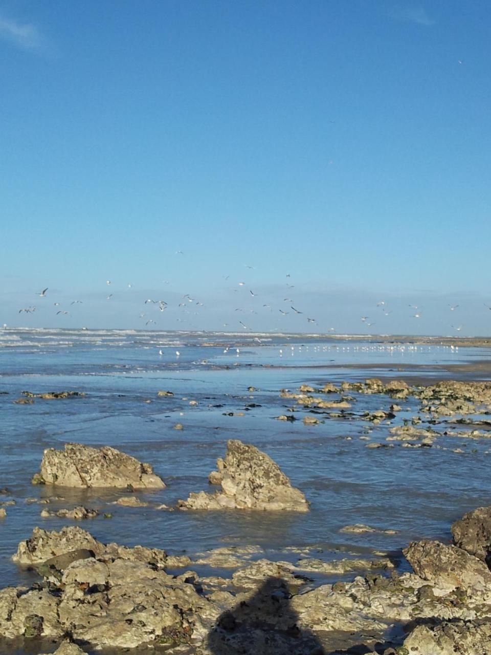 Camping le Mont Joli Bois Criel-sur-Mer Esterno foto